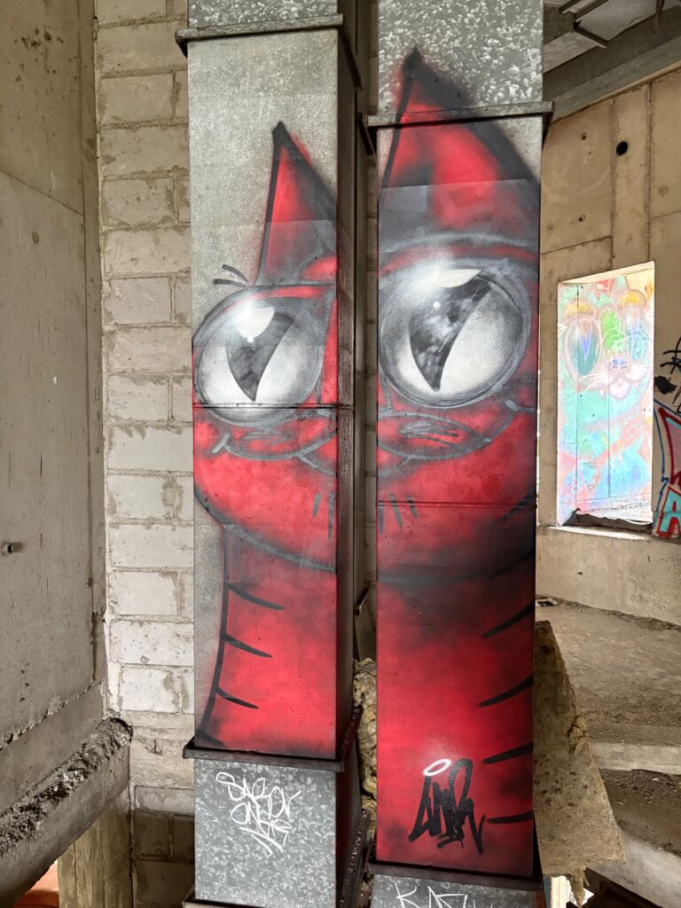 Red catso