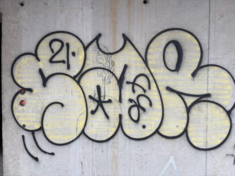 Sar t-up