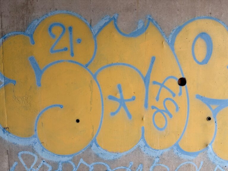 Sar t-up