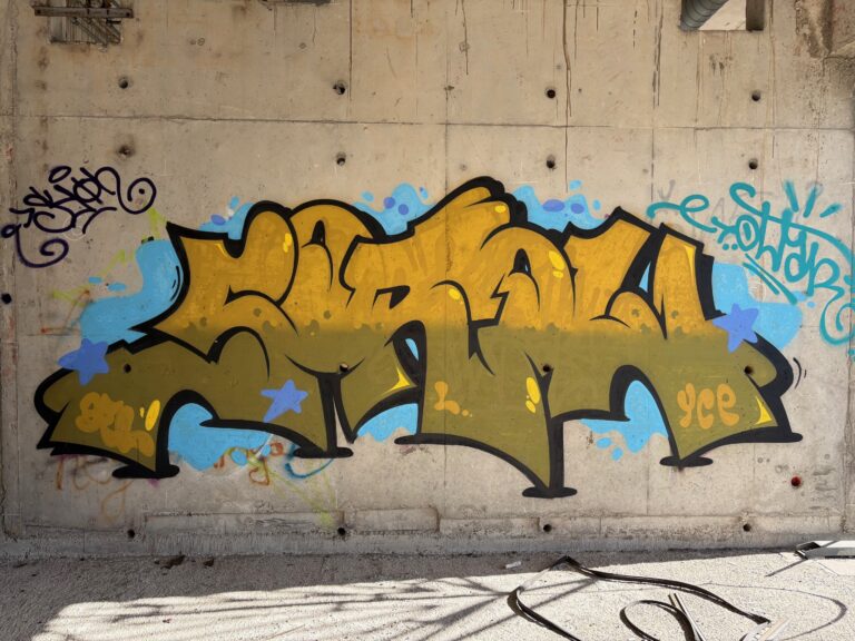 Brown Sorow