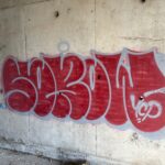 IMG_4503