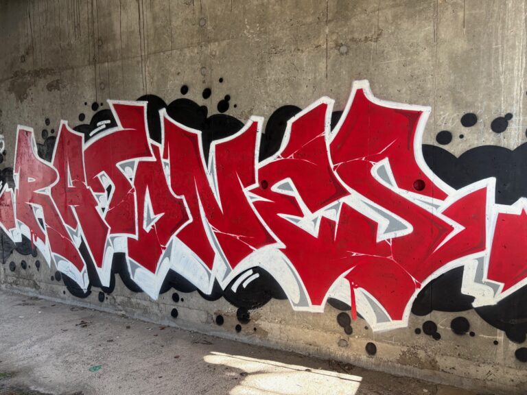 Red Ratones