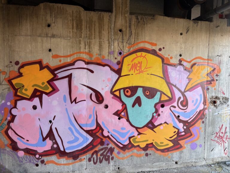 MrP skull