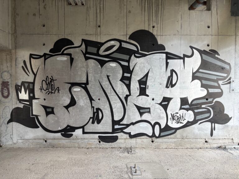 Silver Cimet