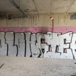 IMG_4630