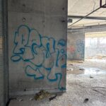 IMG_4639