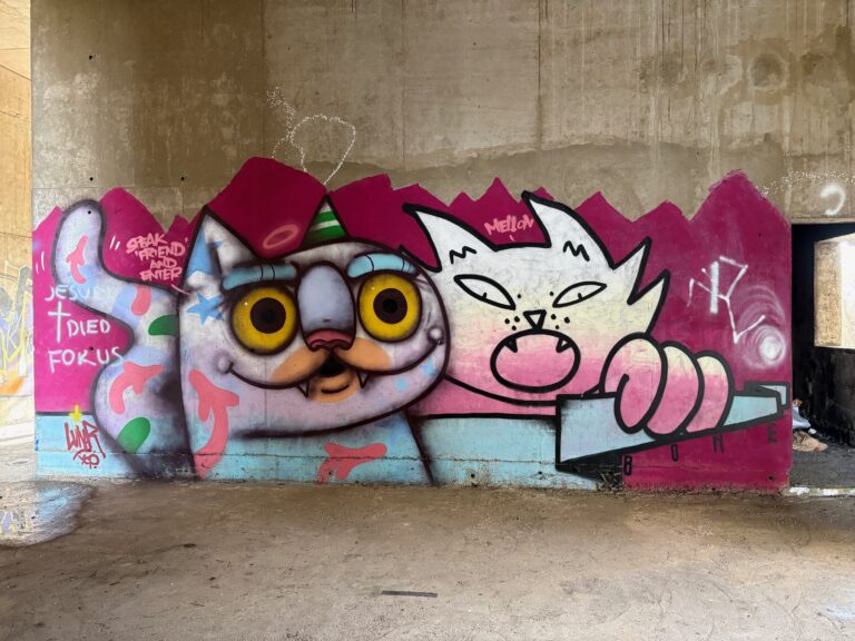 Lunar catsos