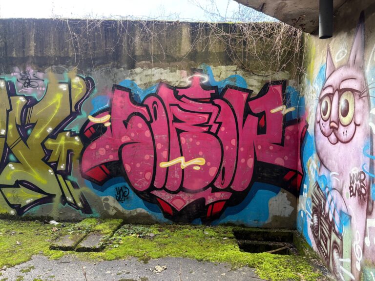 Sorow pink
