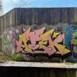 IMG_4667