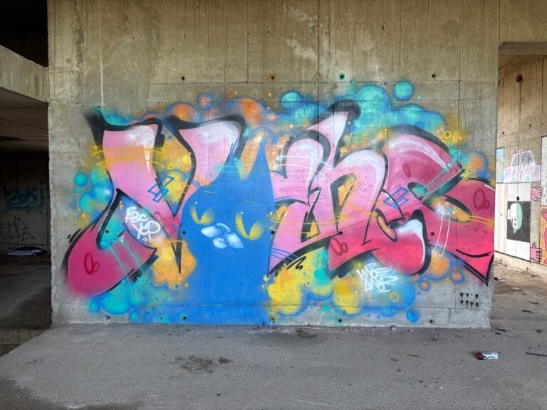 Blue catso