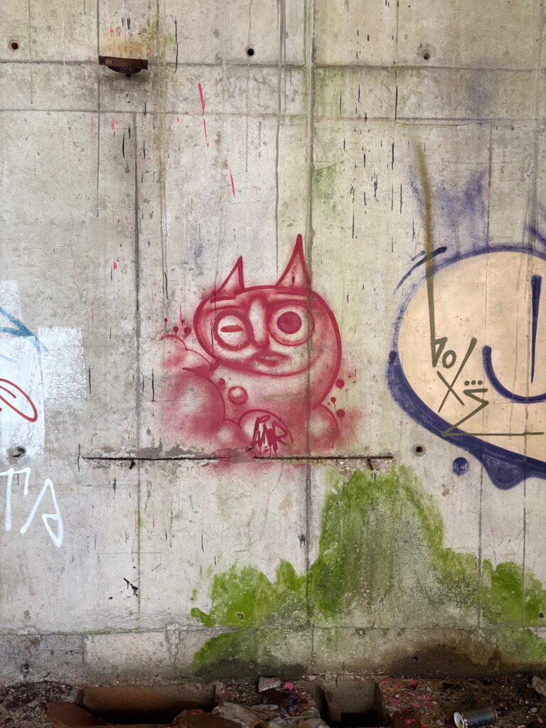 Red catso
