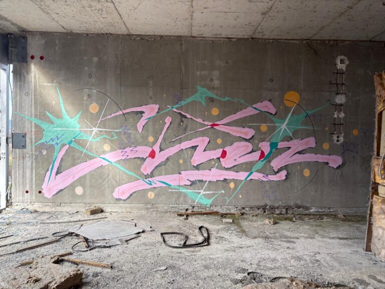Chez pink turquoise