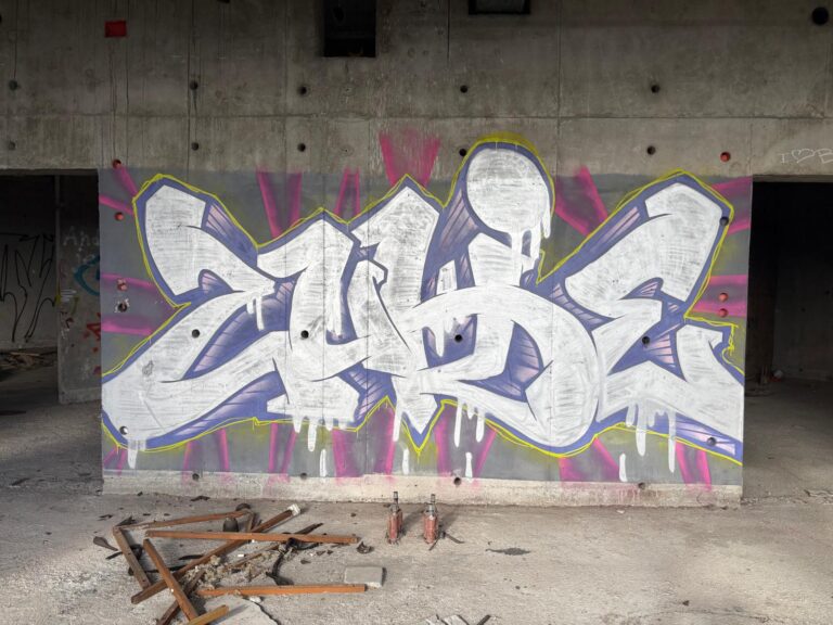 Zukie silver purple