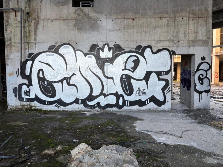 Silver Cimet
