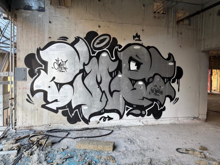 Silver Cimet