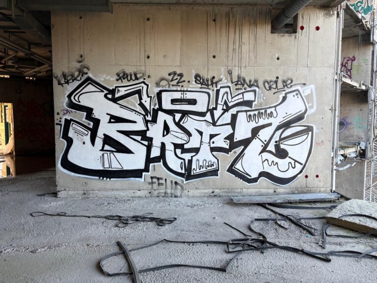 BRTZ silver