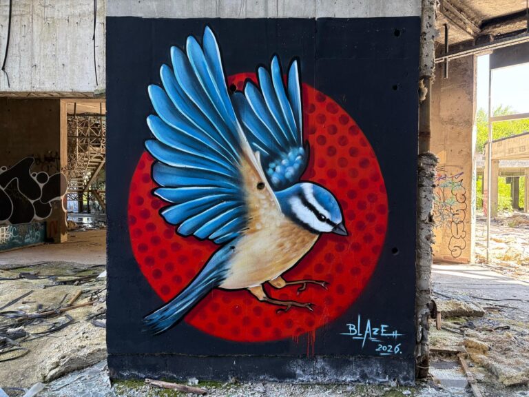 Blaze Blue Tit