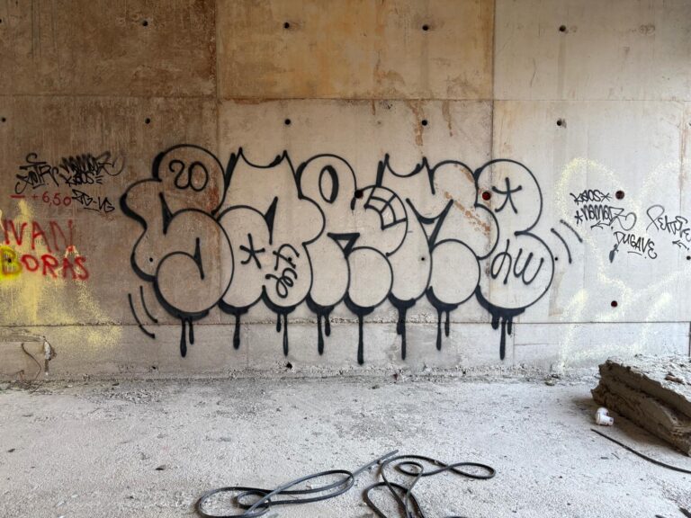 Sarme outline