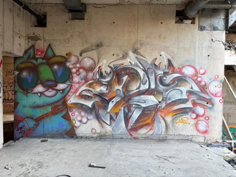 Catso