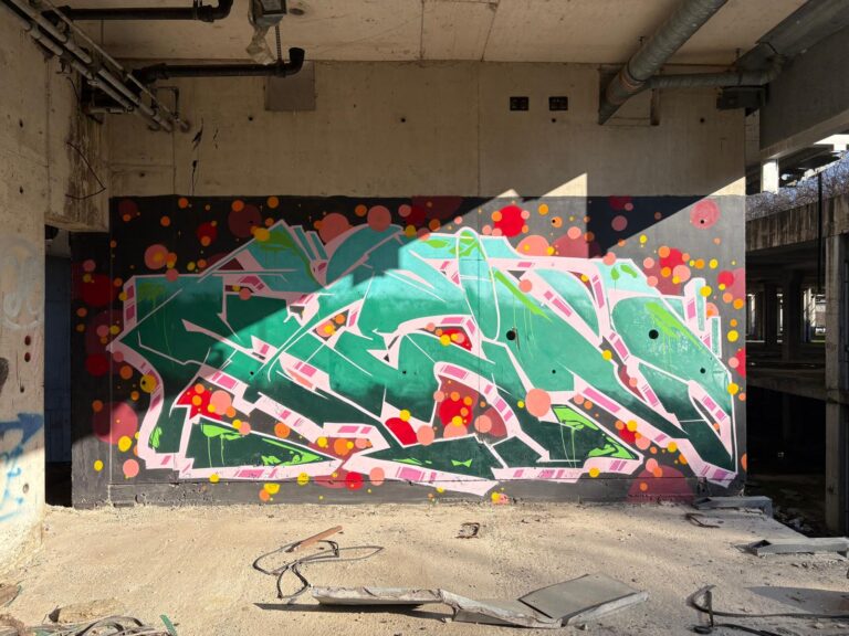 Mein full color