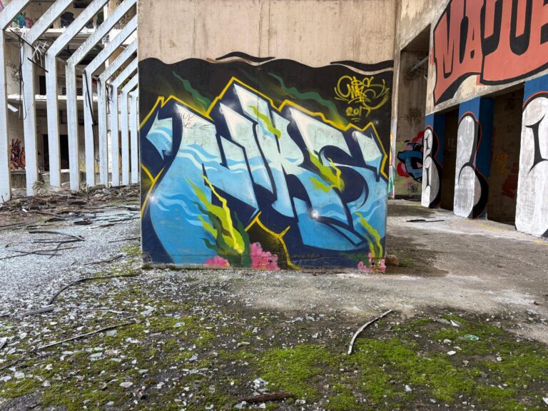 Blue Niks