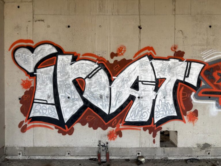 Silver Inat