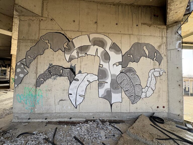 08032026 Graffiti