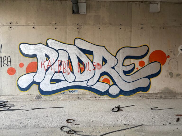 Padre silver