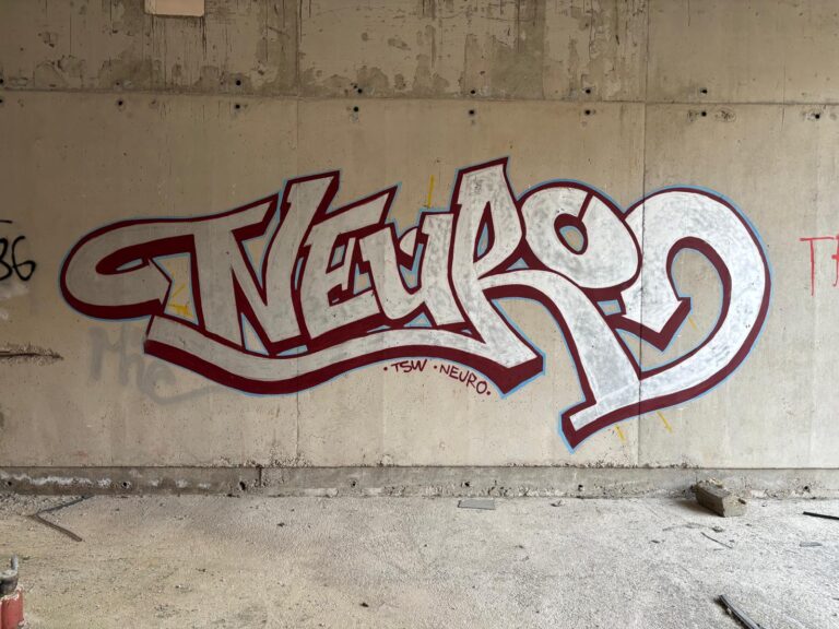 Neuro silver