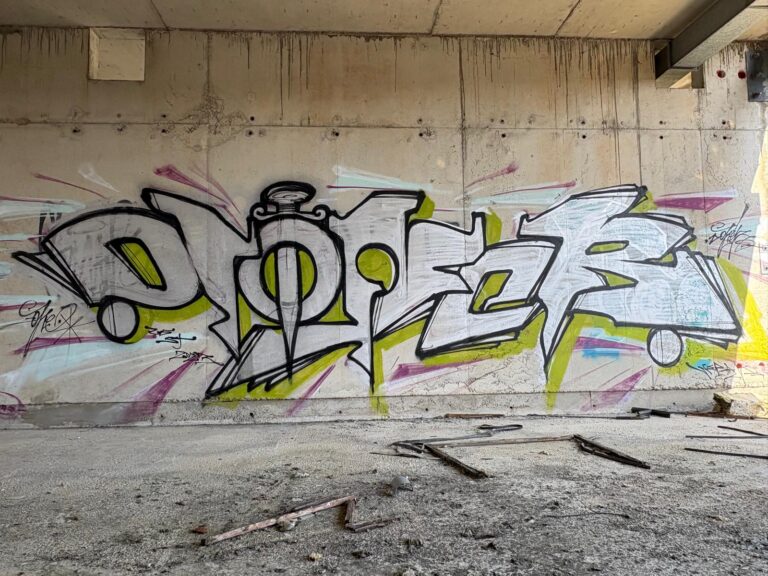 Silver Doner