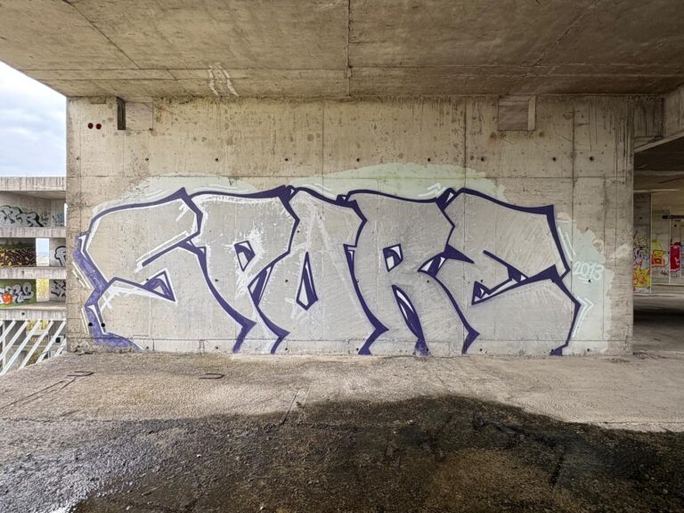 Spore silver