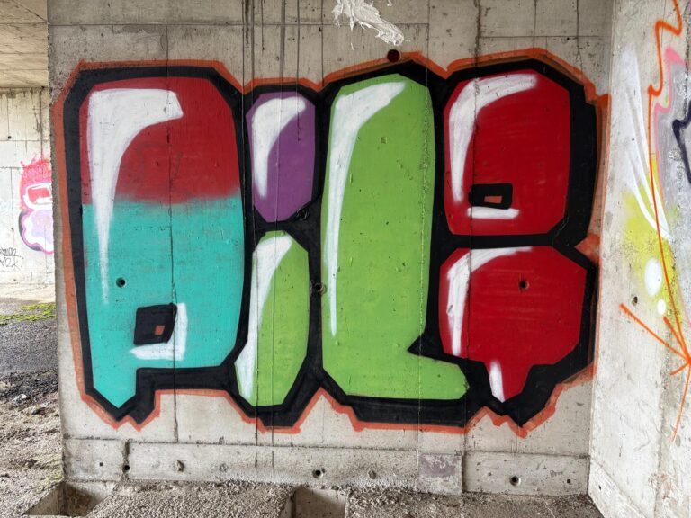 Pil ot