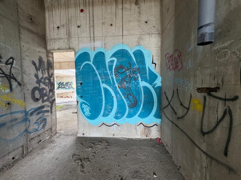 Snok throwie