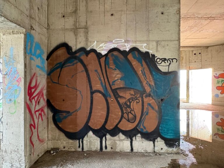Snok throwie