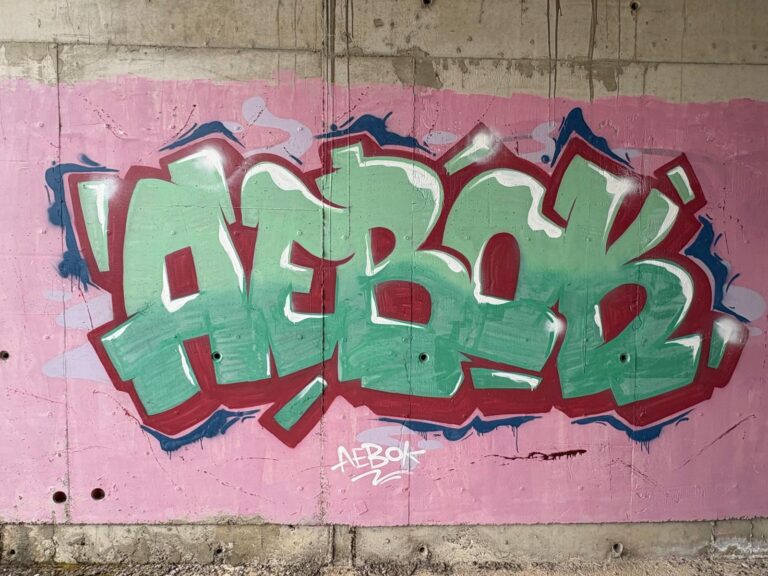 Aebok bok