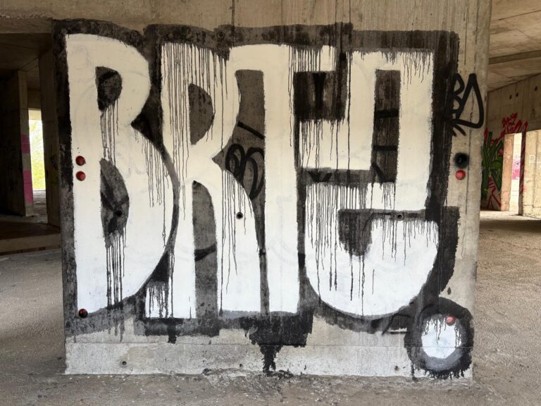 BRTZ crew