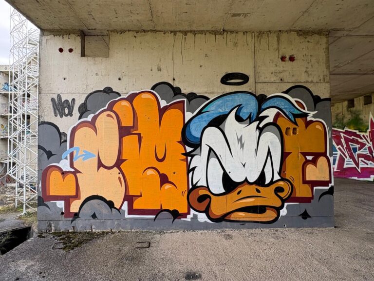 Cimet duck