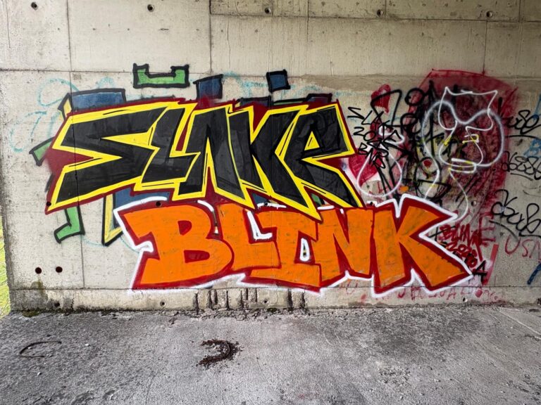 Slake Blink
