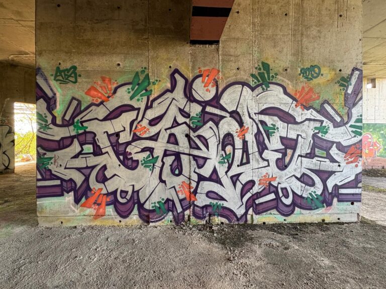 Silver Chino