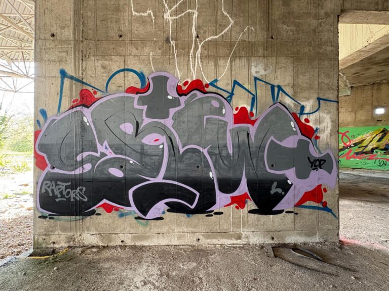 Sorow grey