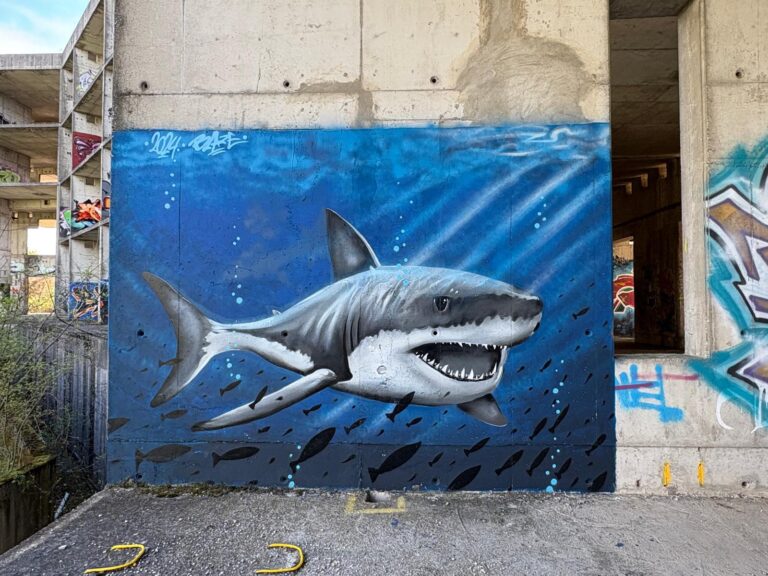 Blaze shark