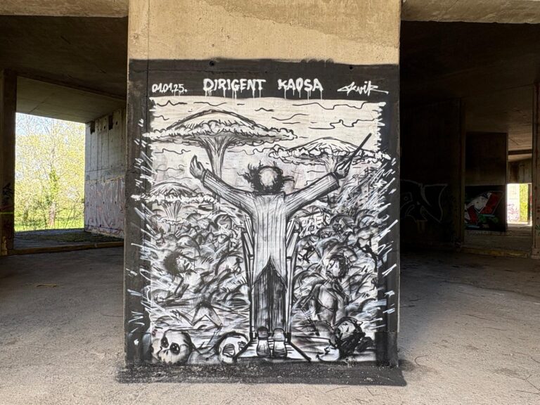 Okvir dirigent kaosa