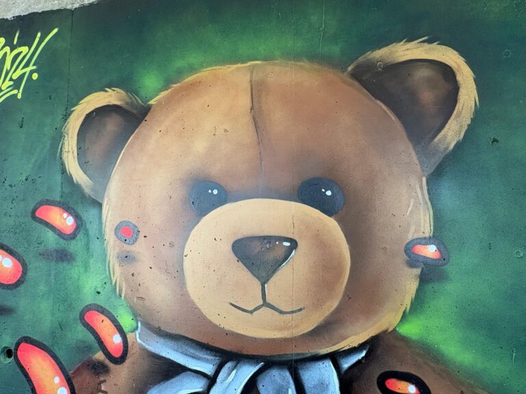 Blaze bear