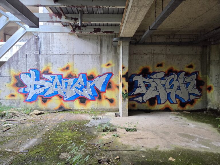 Baner Risk silver graffiti (2)
