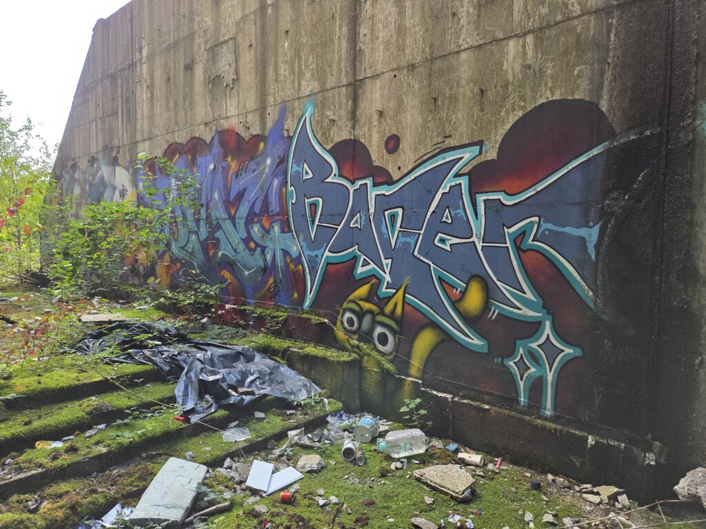 Baner blue graffiti