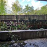 Botro Ener against nature