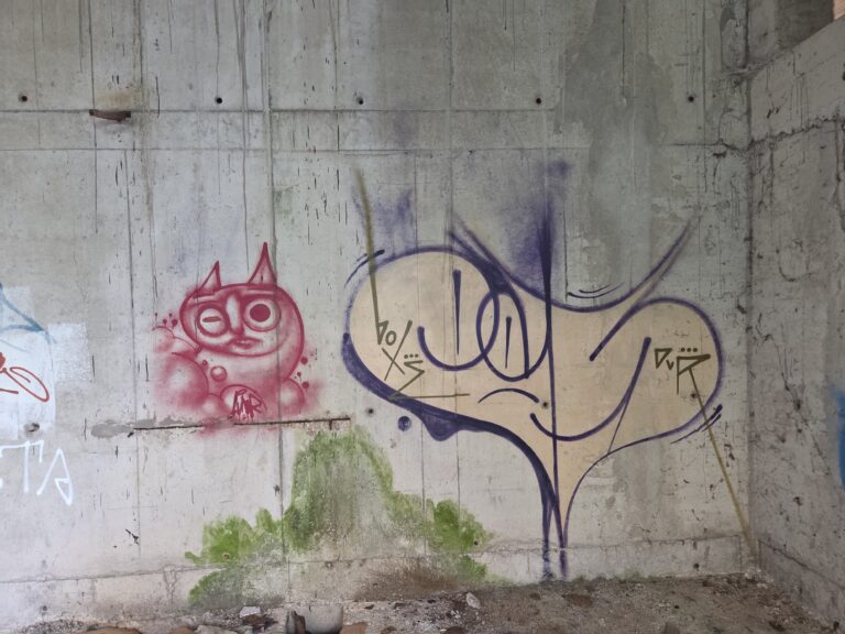 Catso basement