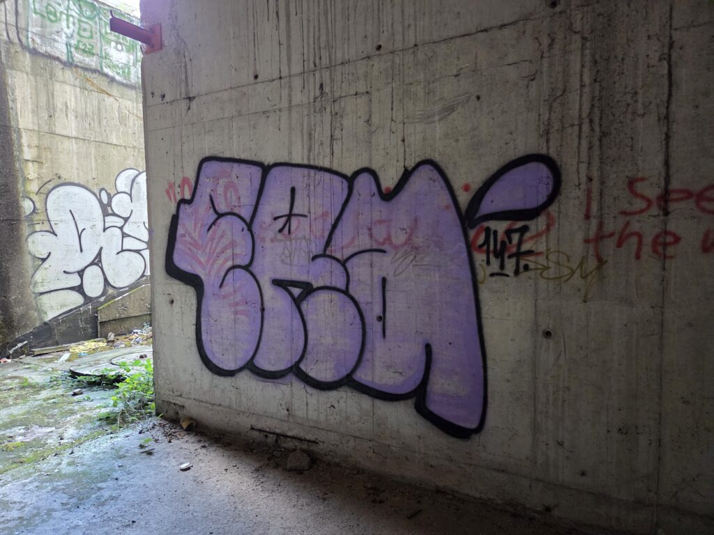 Era purple t-up graff