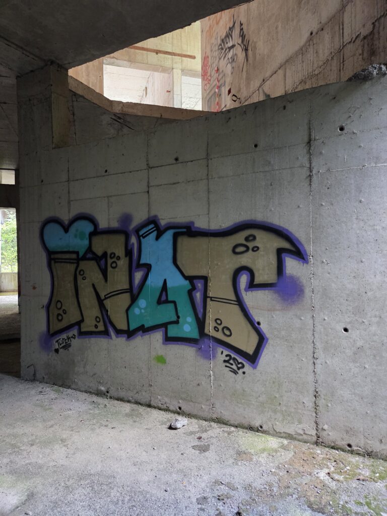 Inat basement graffiti Inat basement graffiti