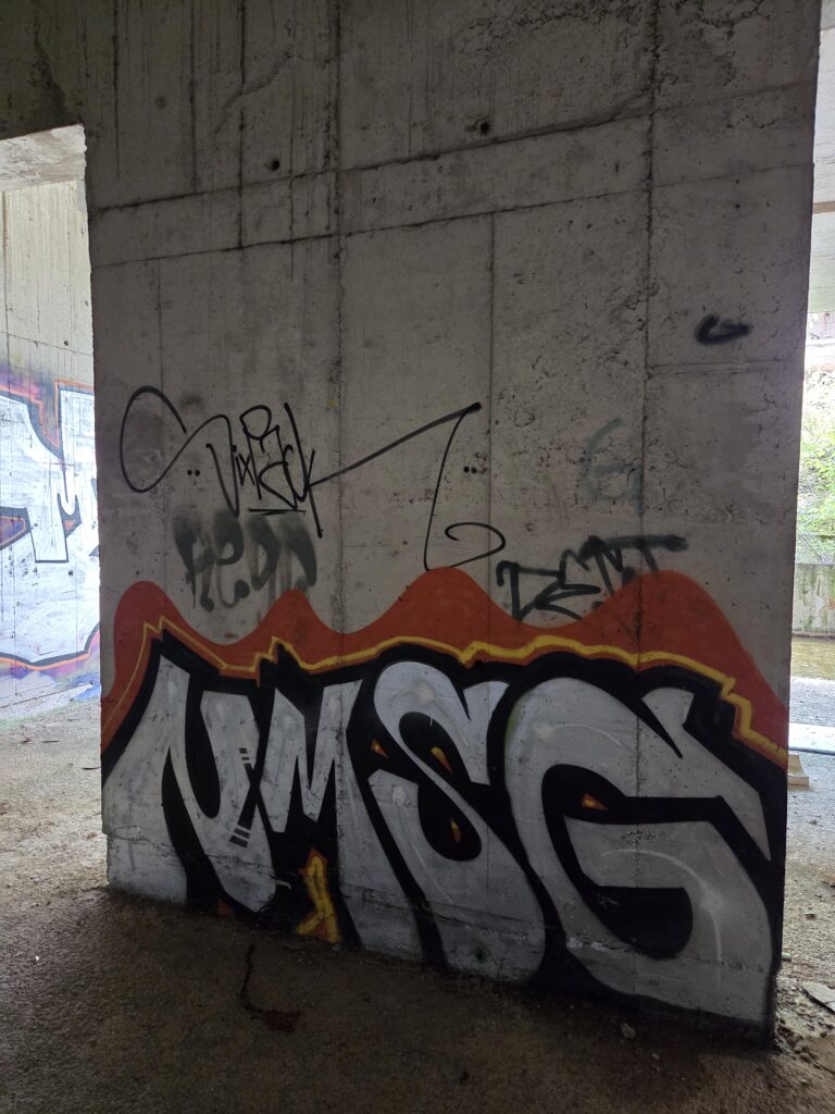NMSG graffiti NMSG graffiti